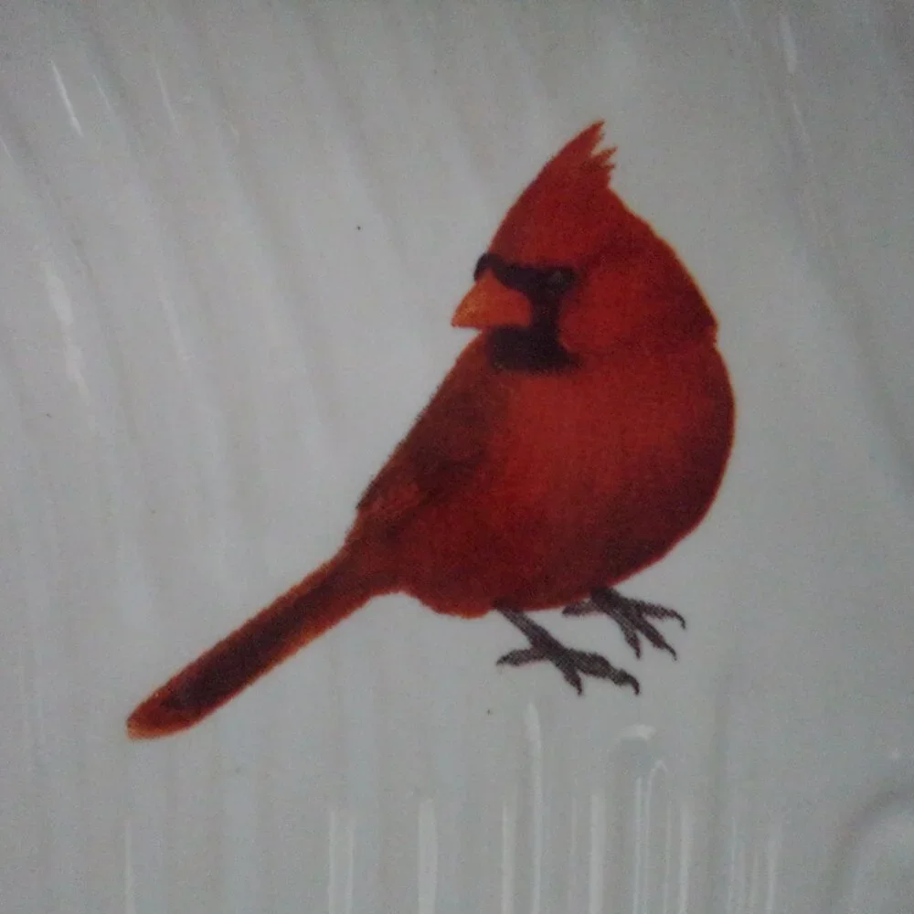 Temptations T. White Woodlands Collection Red Cardinal bird Spoon Rest Dish NEW